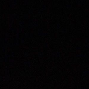 Meet your Posher, Shania